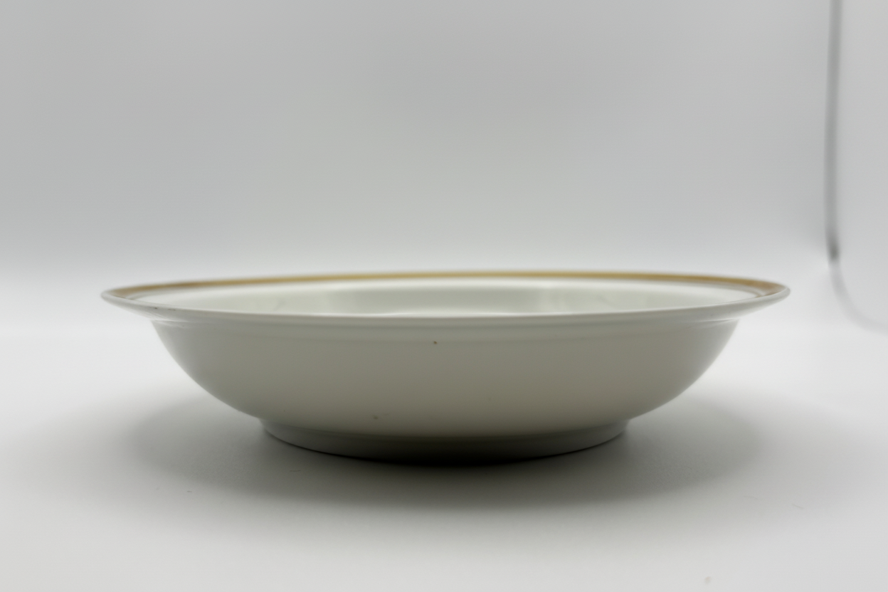 Royal Copenhagen plate side profile showing shallow bowl form